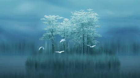 Serene Misty Morning by the Water wallpaper