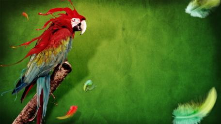 Colorful Parrot in Dreamy Landscape wallpaper