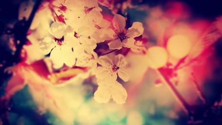 love the flowers wallpaper