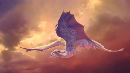 White baby dragon wallpaper
