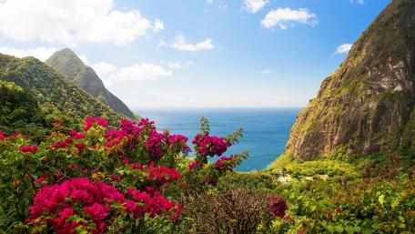 Gros Piton and Petit Piton in Saint Lucia Caribbean Island wallpaper