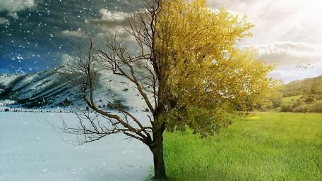 Winter vs Spring wallpaper