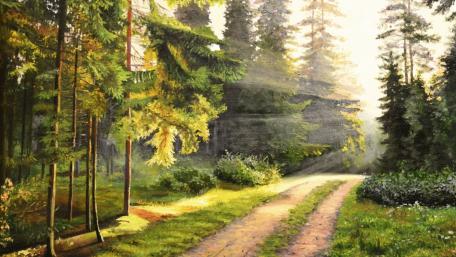 Pathway Through Sunlit Woodland wallpaper