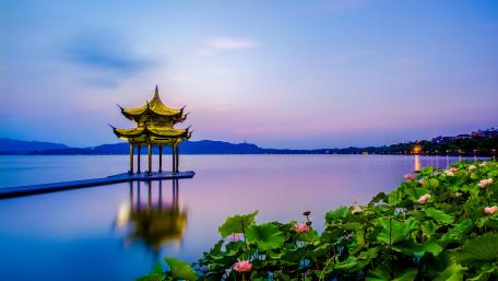 Lotus and pavilion wallpaper