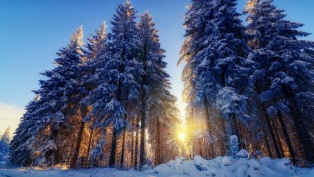 Sunny winter day wallpaper