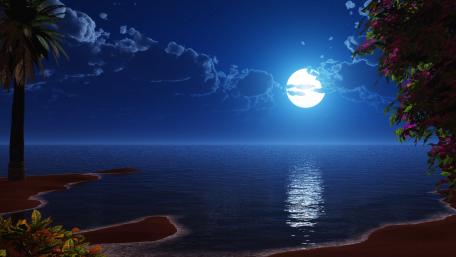 Tropical night wallpaper