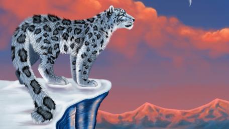 Majestic Snow Leopard at Twilight Sky wallpaper
