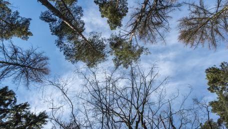 Blue sky wallpaper