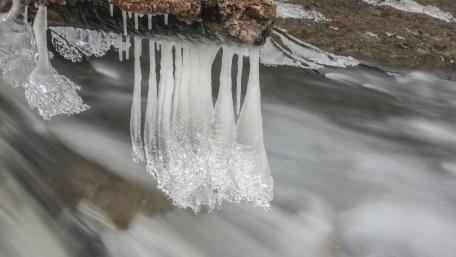 Freezing wallpaper