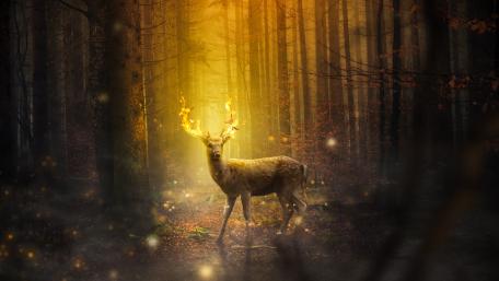 Flaming antler wallpaper
