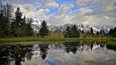 Serene Wilderness Reflection on Tranquil Water Surface wallpaper