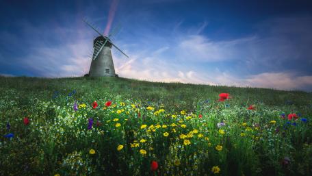 Whitburn Windmill wallpaper