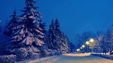 Winter street lights wallpaper