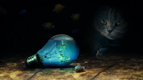 Light bulb aquarium - Fantasy art wallpaper