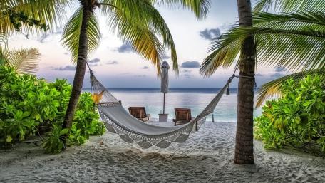 Tropical Hammock Paradise wallpaper