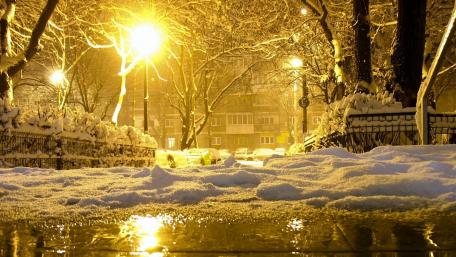 Winter night in the park wallpaper
