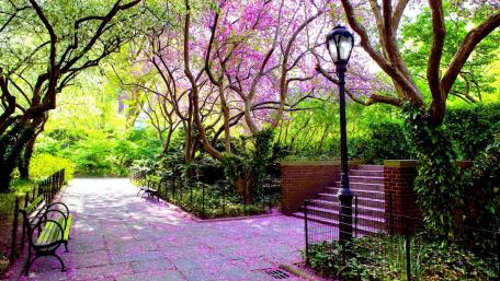 Spring Serenity in a Botanical Garden wallpaper