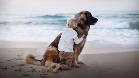 Boy with dog wallpaper