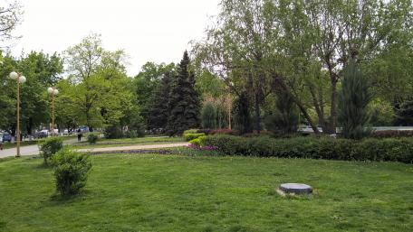 Serene Urban Parkscape in 4K Quality wallpaper