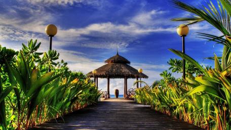Palapa on the beach wallpaper