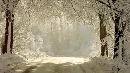 White winter road wallpaper
