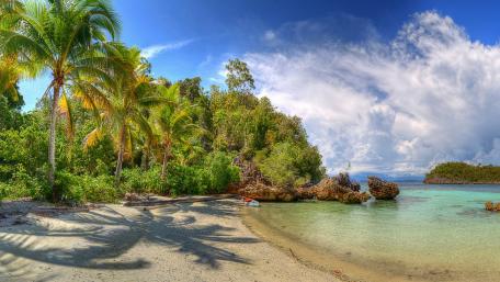 Tropical beach wallpaper
