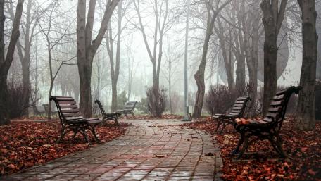 Park winter wallpaper