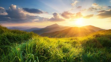 Green grass and sunshine wallpaper