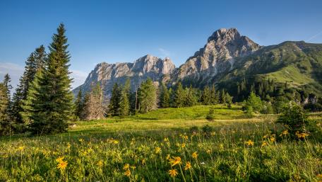 Austrian alps wallpaper