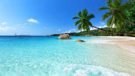 Chevalier Bay, Praslin wallpaper