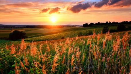 Grassy slopes in the setting sun wallpaper