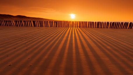 Desert Sunset with Striking Shadows on Sand wallpaper