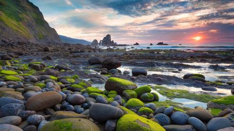 Serene Coastal Sunset with Mossy Stones wallpaper