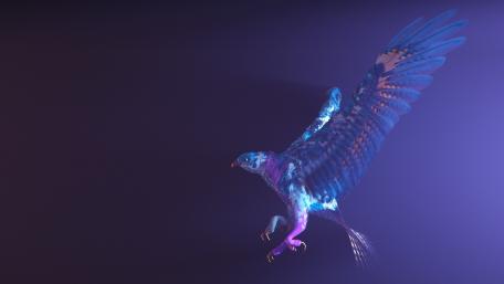 Soaring in Enchanted Shadows wallpaper
