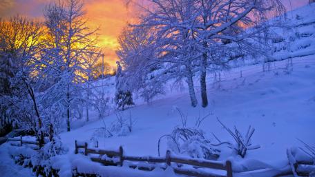 Serene Winter Sunset over Snowy Hillside wallpaper