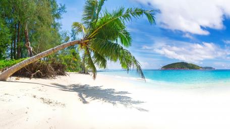 Tropical Serenity in Thailand wallpaper