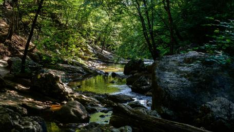 Creek in Crimea wallpaper