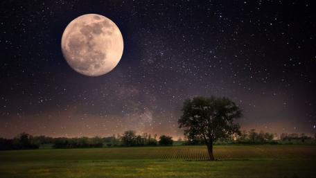 New moon wallpaper
