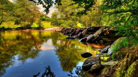Serene Waterscapes in Nature's Embrace wallpaper