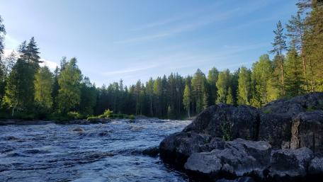 Karelian riffle wallpaper