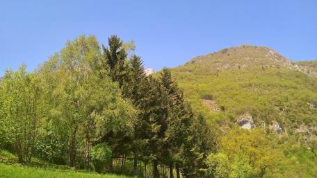 Lush Greenery Surrounded by Majestic Mountains wallpaper