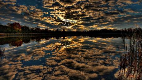 Golden Reflection on Tranquil Waters wallpaper