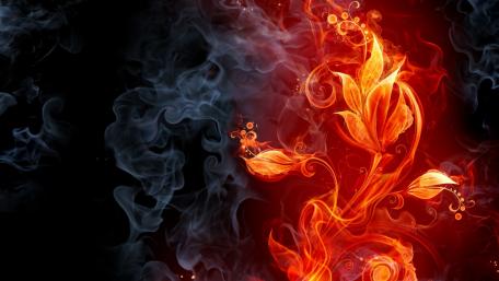 Fiery Bloom in Smoke Swirls wallpaper