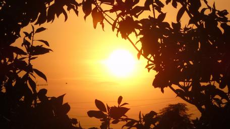 Golden Sunset Silhouette Over a Tranquil Landscape wallpaper