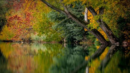 Autumn Serenity on Reflective Waters wallpaper