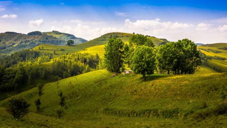 Serene Highland Landscape Revealed in Nature’s Embrace wallpaper