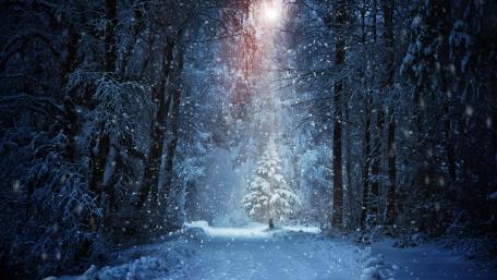 Snowy Christmas tree wallpaper