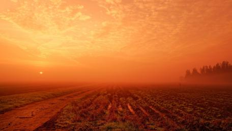 Red sky at morning wallpaper