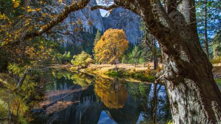 Merced River in Yosemite Valley wallpaper