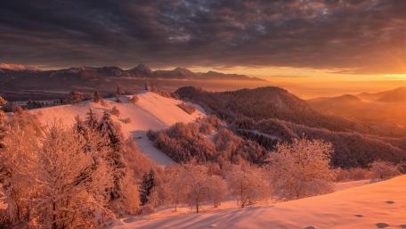 The sunrise of the forest in winter wallpaper